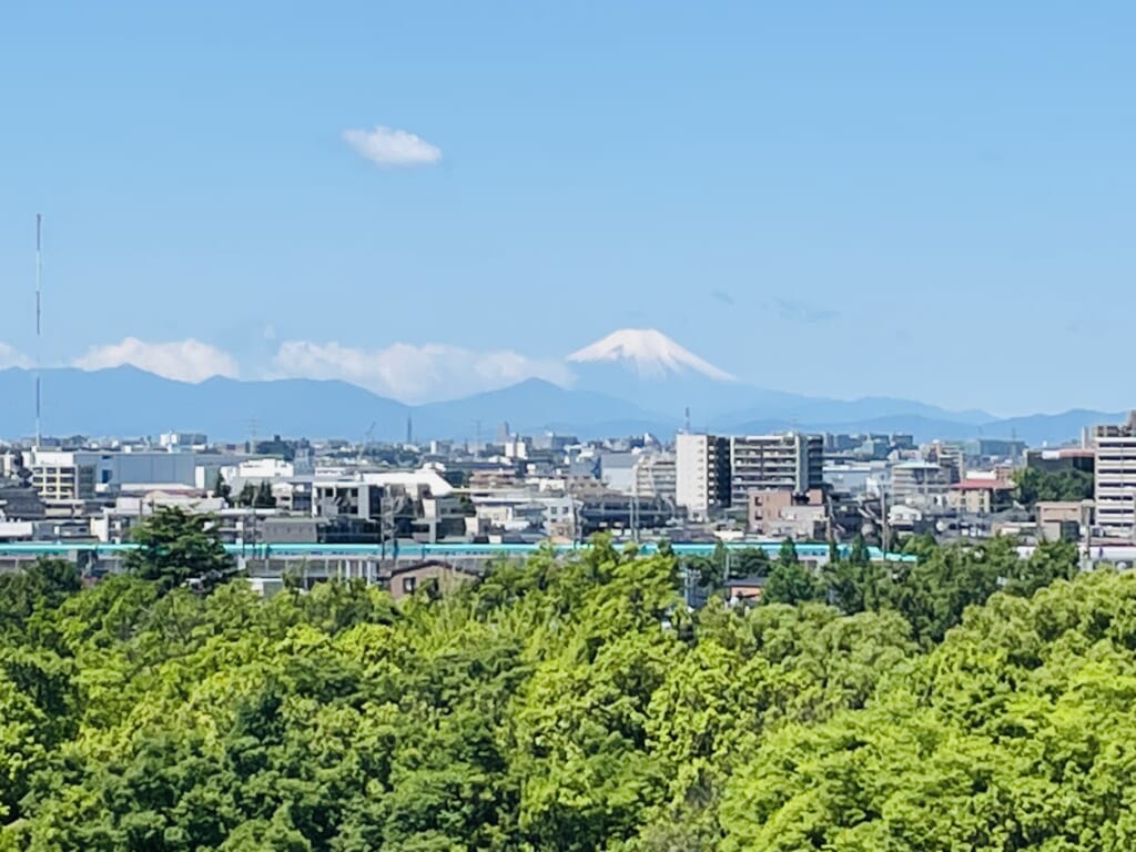 戸田市役所から富士山