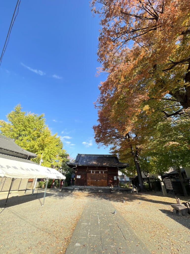 【上戸田氷川神社七五三祈願】