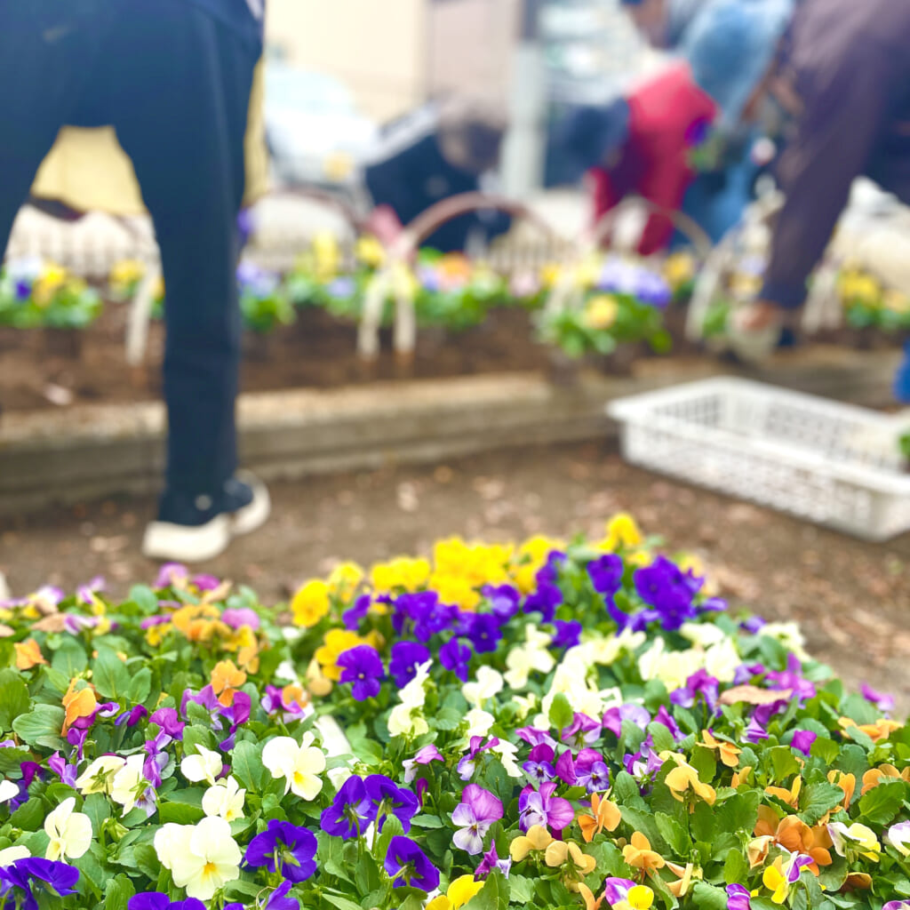 【東町公園花壇植替え】